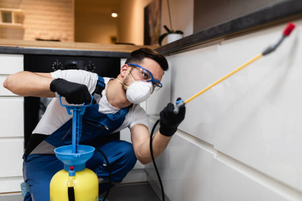 Best Pest Removal Services  in Vinton, IA
