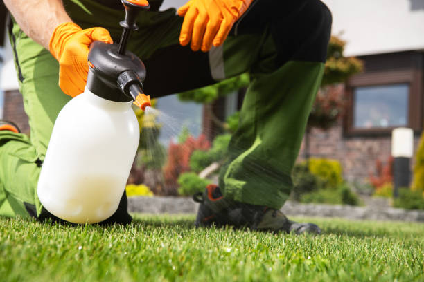 Best Flea Control Services  in Vinton, IA