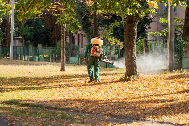 Best Emergency Pest Control  in Vinton, IA