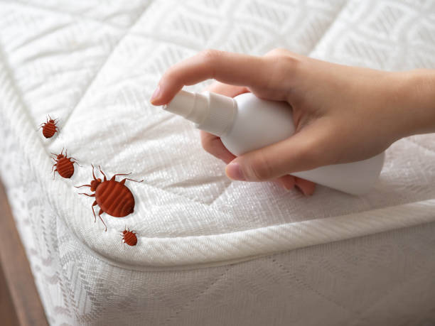 Best Local Pest Control Services  in Vinton, IA