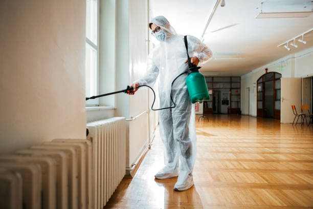 Best Insect Control  in Vinton, IA