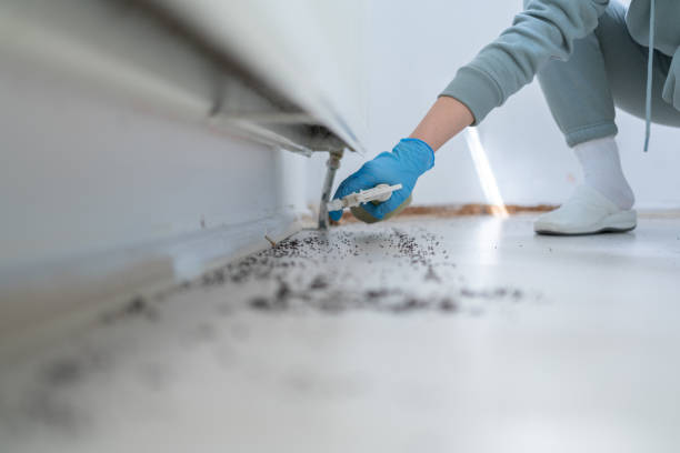 Reliable Vinton, IA Pest Control Solutions
