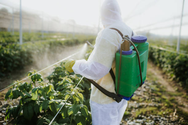 Best Mosquito Control Services  in Vinton, IA